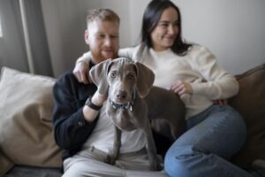 Pet em apartamento: veja como tornar o espaço mais confortável para o animal