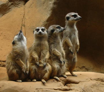 Aquário de São Paulo